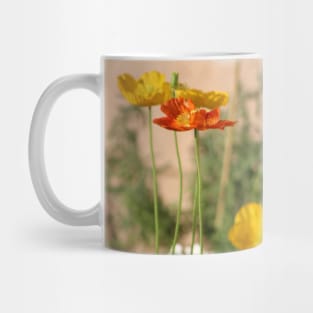 Rust Orange and Butter Yellow Poppies Mug